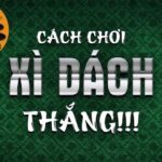 Làm thế nào để chọn nhà cái bóng đá uy tín?